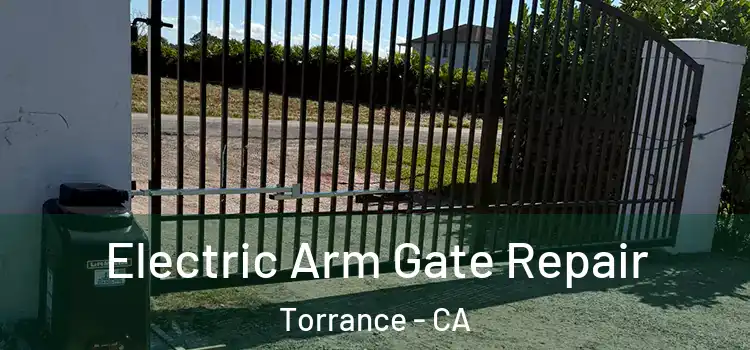 Electric Arm Gate Repair Torrance - CA