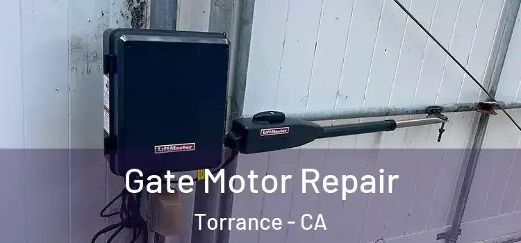 Gate Motor Repair Torrance - CA