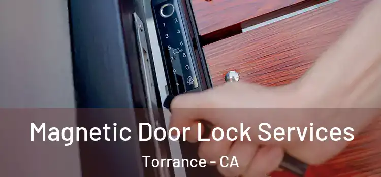 Magnetic Door Lock Services Torrance - CA